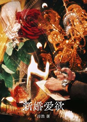 新婚爱欲by淳然免费阅读