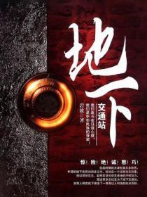 地下交通站2完整版免费观看