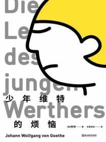 少年维特之烦恼