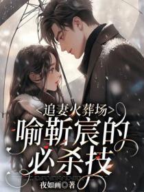 追妻火葬场喻夏全文免费阅读