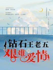钻石王老五的艰难爱情 电视剧