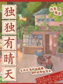 独独有晴天TXT