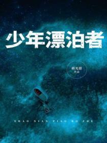 少年漂泊者读后感