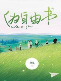 伪自由书是谁写的