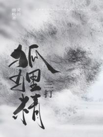 狐狸精猜三个数字