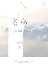 飞鸟齐齐荡芦花 飞鸟齐齐荡芦花