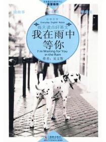 我在雨中等你(国语版)