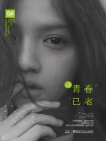 青春已老去原唱完整版