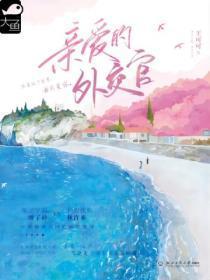 亲爱的翻译官电视剧在线播放免费观看