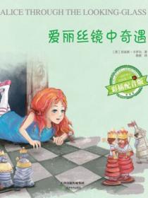 爱丽丝镜中奇遇记故事