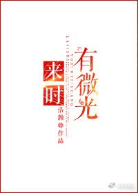 来时有微光是什么意思