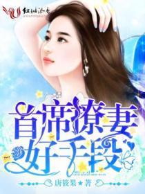 首席撩妻好手段免费阅读