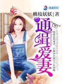 通缉犯电影简介