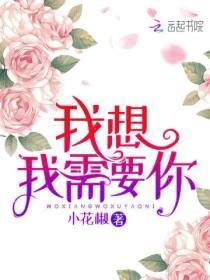 我想我需要你英文