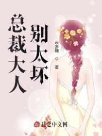 总裁大人别太坏叶北辰