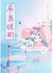 有妻徒刑表达什么意思