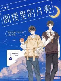 阁楼里的月亮 十二三