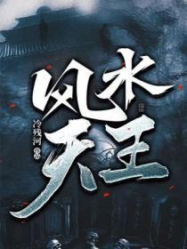 风水大师王什么