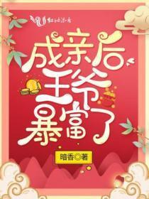 成亲后王爷暴富了百度