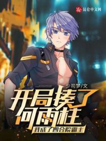 开局揍了何雨柱我成了四合院霸主 少司梦