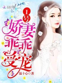 楚先生在线阅读