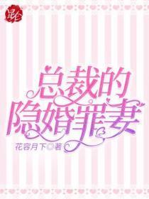 总裁的隐婚罪妻电视剧全集