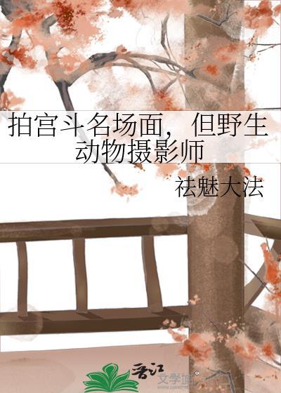 拍野生动物镜头