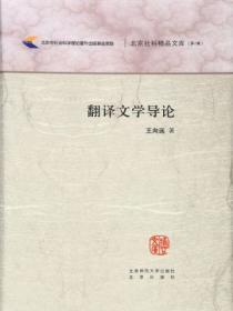 翻译文学理论
