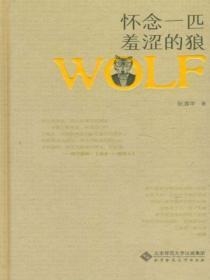 怀念一匹羞涩的狼是什么歌