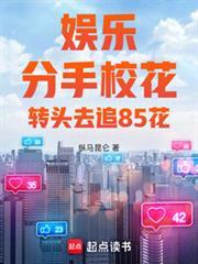 转头去追85花无防盗