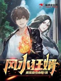 风水狂婿上门凌风