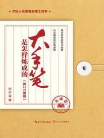 大手笔是怎样炼成的 pdf