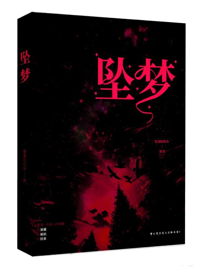 坠梦星河羽毛球拍