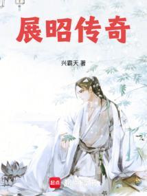 大宋神探录展昭传奇笔趣阁