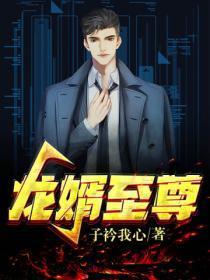 龙婿至尊在线阅读