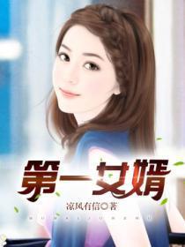 第一女婿叶辰萧妍然