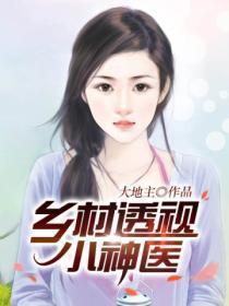 乡村透视小神医林飞完整版