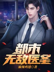 都市无敌医圣先天宗师