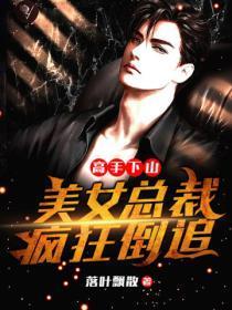 高手下山美女总裁疯狂倒追 落叶飘散