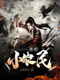 唐朝小农民李天