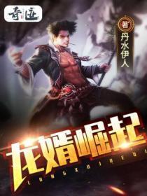 龙婿崛起免费全本