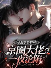 京圈大佬一夜沦陷结局