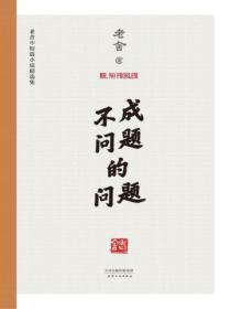 不成问题的问题剧情介绍