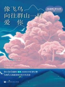 像飞鸟向往群山一样爱你歌词