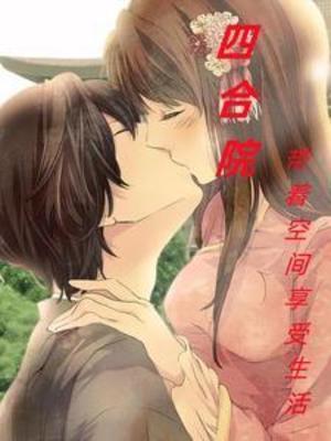 四合院带着空间享受生活