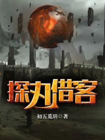 探丸借客是什么意思