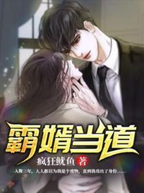 霸婿当道陆风