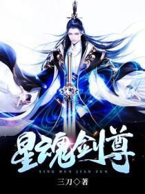 星魂剑仙