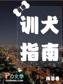 盗版训犬指南讲的什么