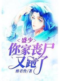 盛少丧尸围城放夫人